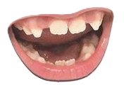 mouth1
