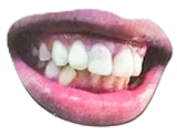mouth5